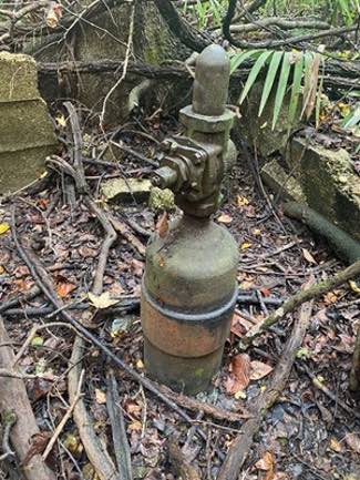 An orphan well in a wetland