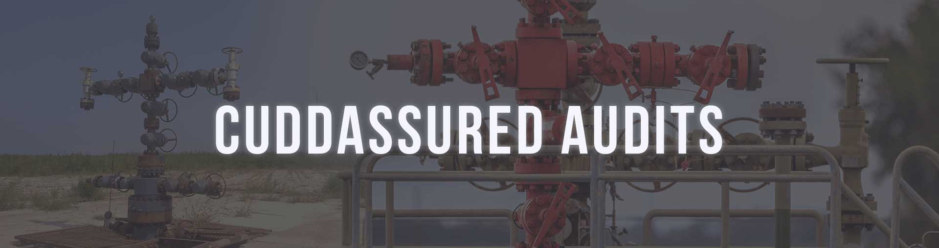 CuddAssured Audtis