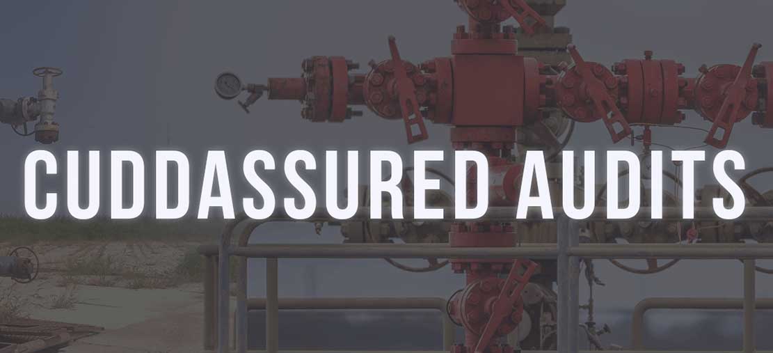 CuddAssured Audits